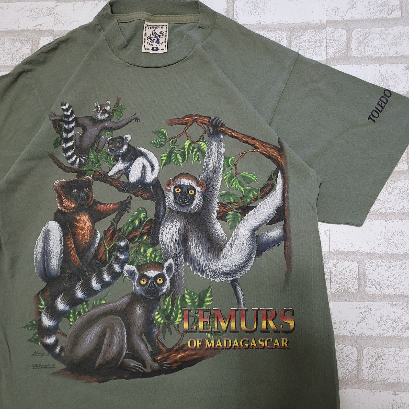 Vintage 90s Lemurs of Madagascar Toledo Zoo Green Wildlife Animals T-Shirt Men M gallery