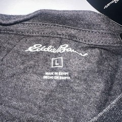 NWT EDDIE BAUER Mens L Tshirt Gray Graphic Mountain Outdoor Birds Classic Fit