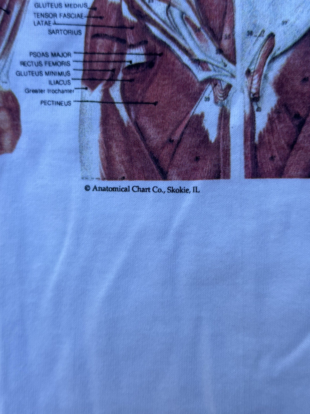 Vintage 90s Kurt Cobain Nirvana Anatomical Chart Tee Fruit of Loom Tag Sz XL gallery