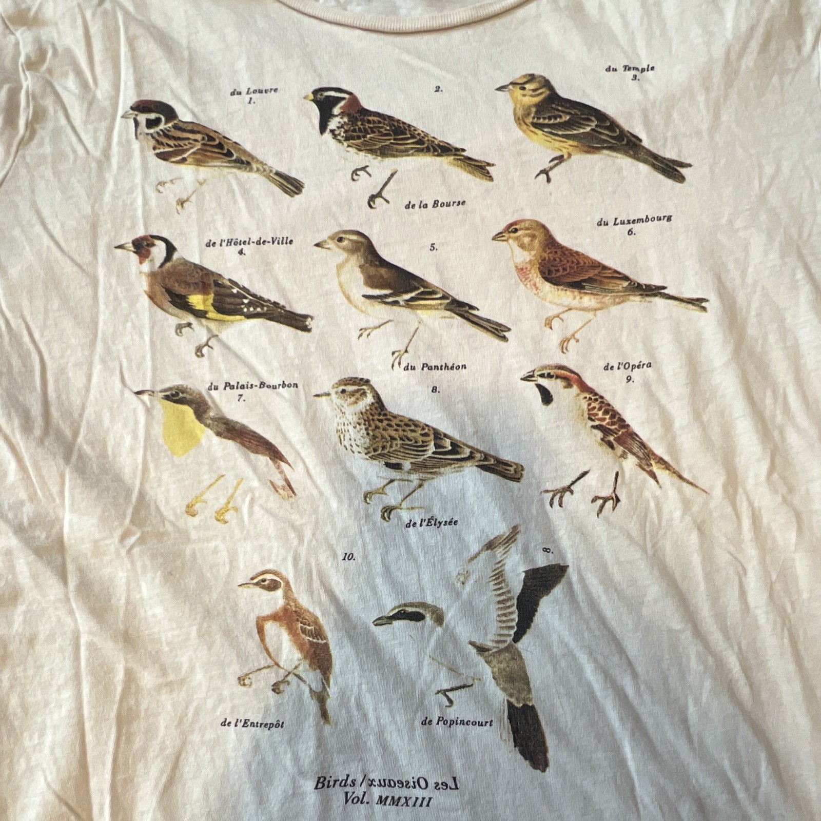 Birds Vol. MMXIII Graphic Cotton Jersey Crew Neck Distressed T-Shirt Men's S gallery