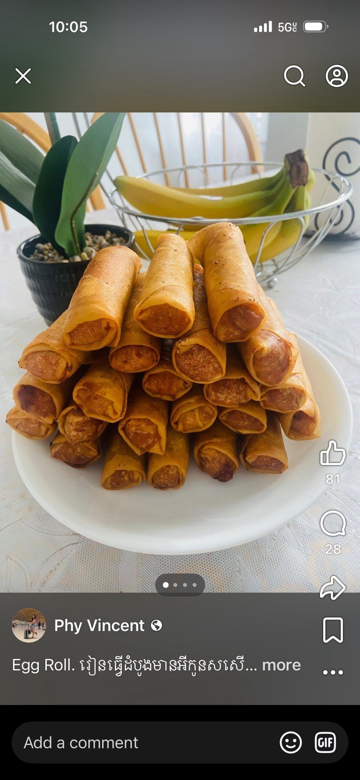 Egg Roll - Spring Roll Roller Board.  1 Size 4x9 (M)