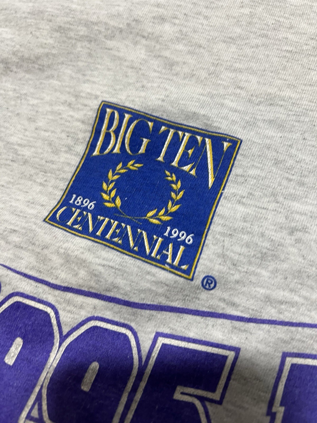 Vintage 1995 Big Ten Football Champions Northwestern University T Shirt Gray XL gallery