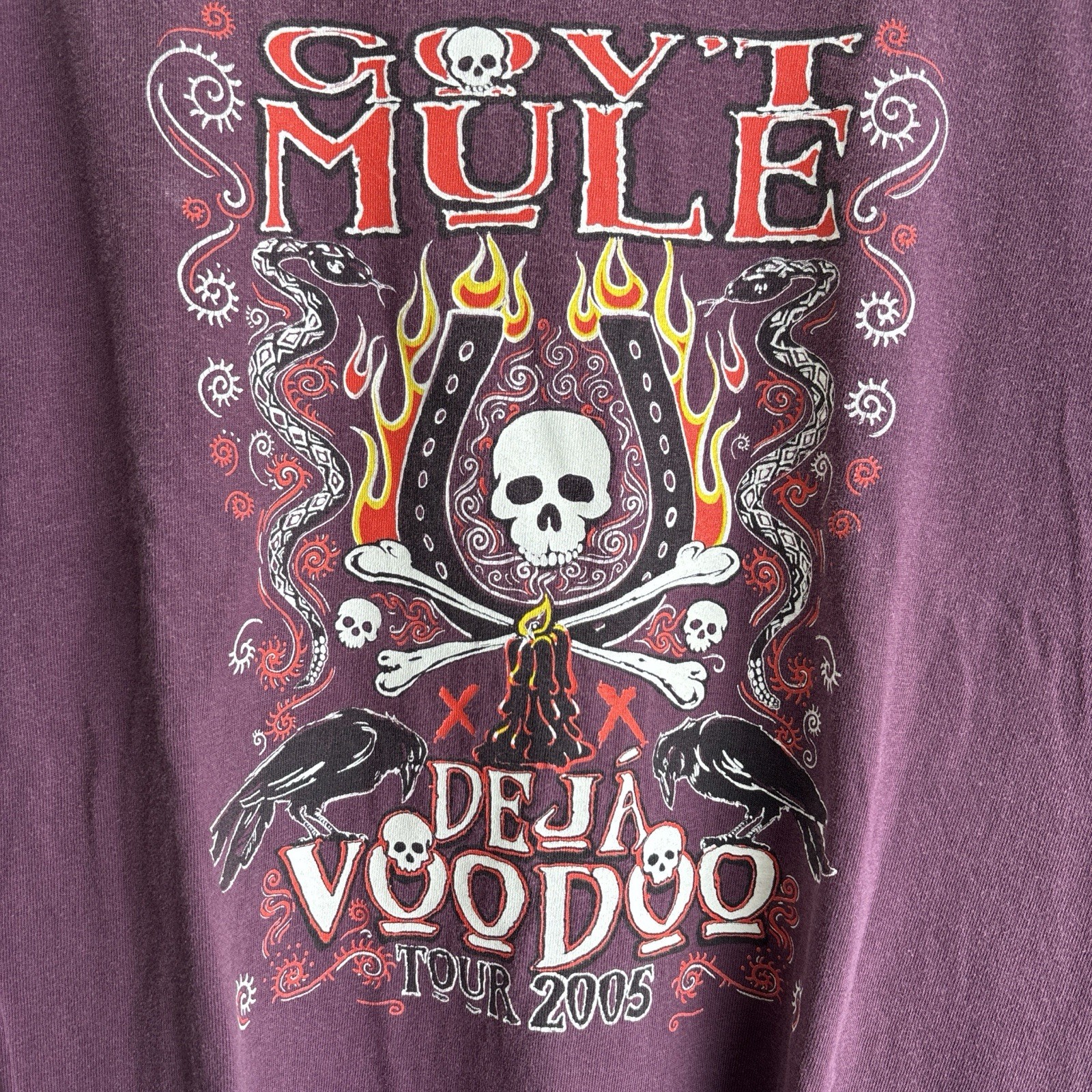 Vintage Y2K Gov't Mule band t-shirt from their 2005 Deja Voodoo Tour size L gallery