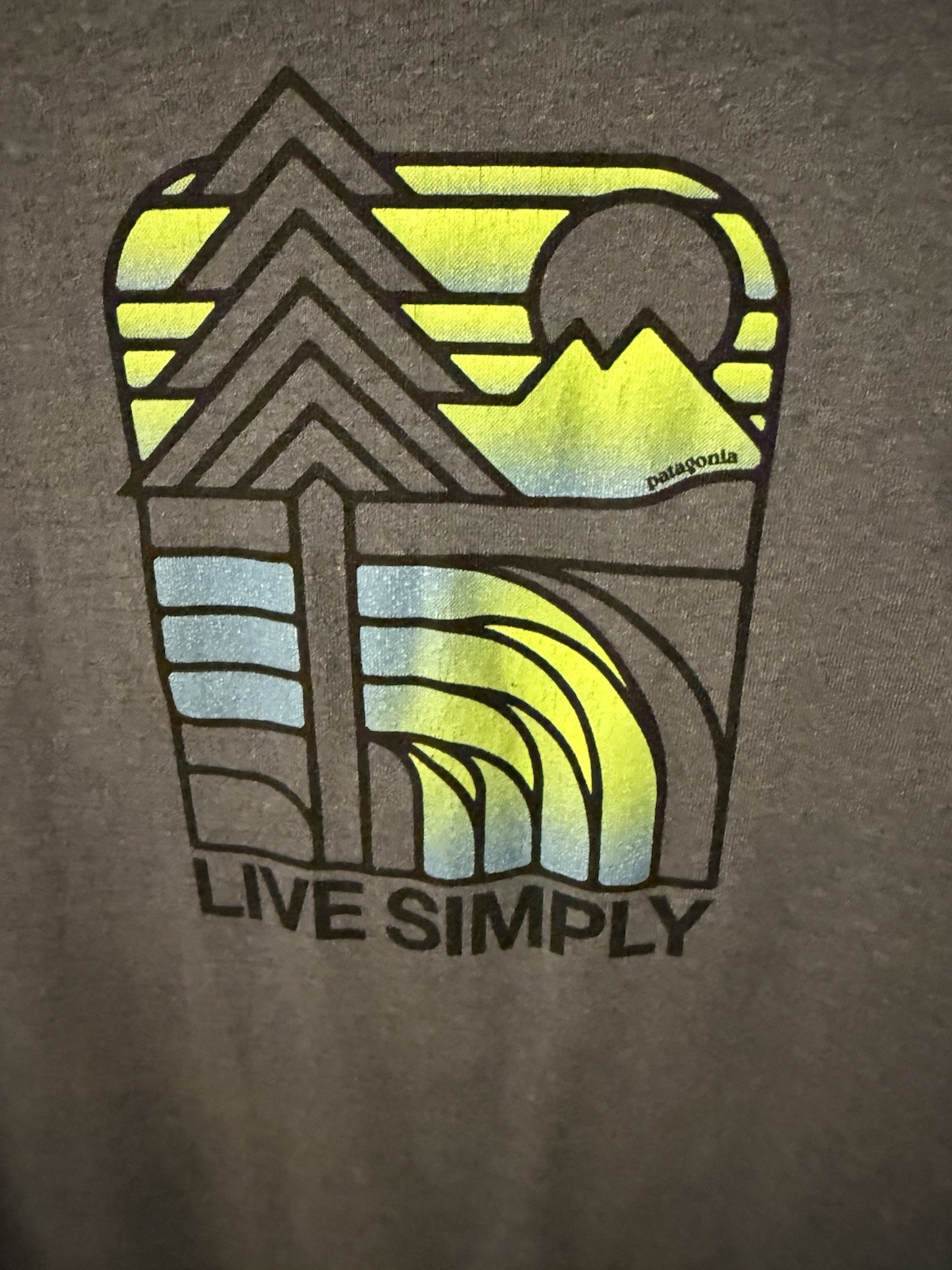 Patagonia Men's Live Simply Landscape Responsibili-Tee in drifter grey XL gallery