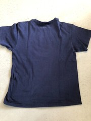 Tampa Bay Rays Shirt Men’s Large MLB Baseball Navy Blue Team Tee