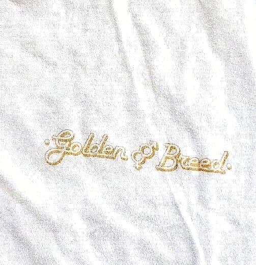 Rare Vintage 70s NSSA Surfing Competition T-Shirt Golden Breed Large Surf Skate gallery
