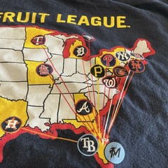 MLB Florida Spring Training Grapefruit League New Era T-Shirt – Size Small-READ