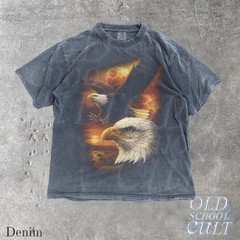Bald Eagle Vintage Graphic American Bird Comfort Tee
