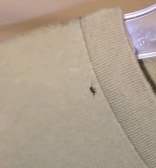 Men's T Shirt (S) Green Beret Special Forces Black Devils Longtab Brewery Olive gallery