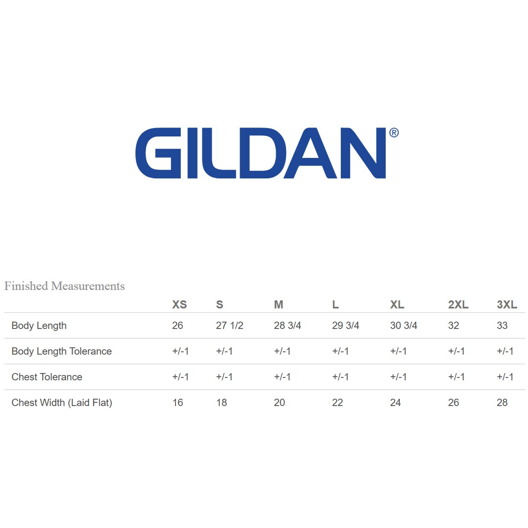 2 Pack Of Gildan G64V Adult Softstyle T Shirt Mitered V-Neck Stylish T-Shirt gallery