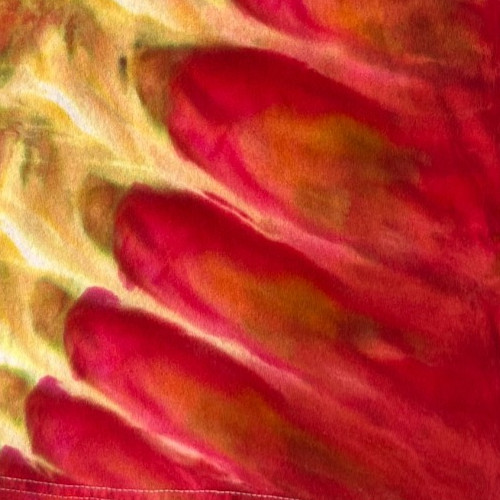 NEW V Roll Ice Tie Dye T-Shirt, Mens XL Tank Top, Red & Gold gallery