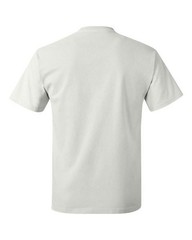 Hanes 5250 Authentic Short Sleeve T-Shirt
