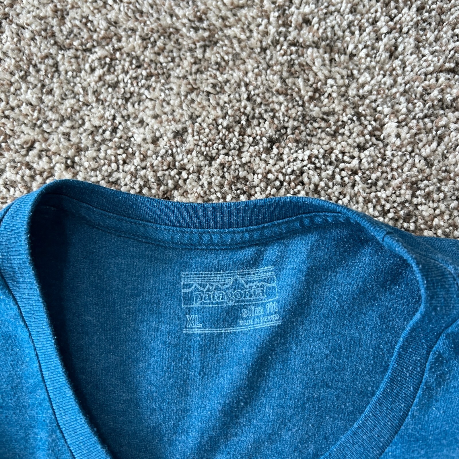 Patagonia Live Simply Blue T-Shirt Slim Fit Men's Size XL Blue Hike Outdoor gallery