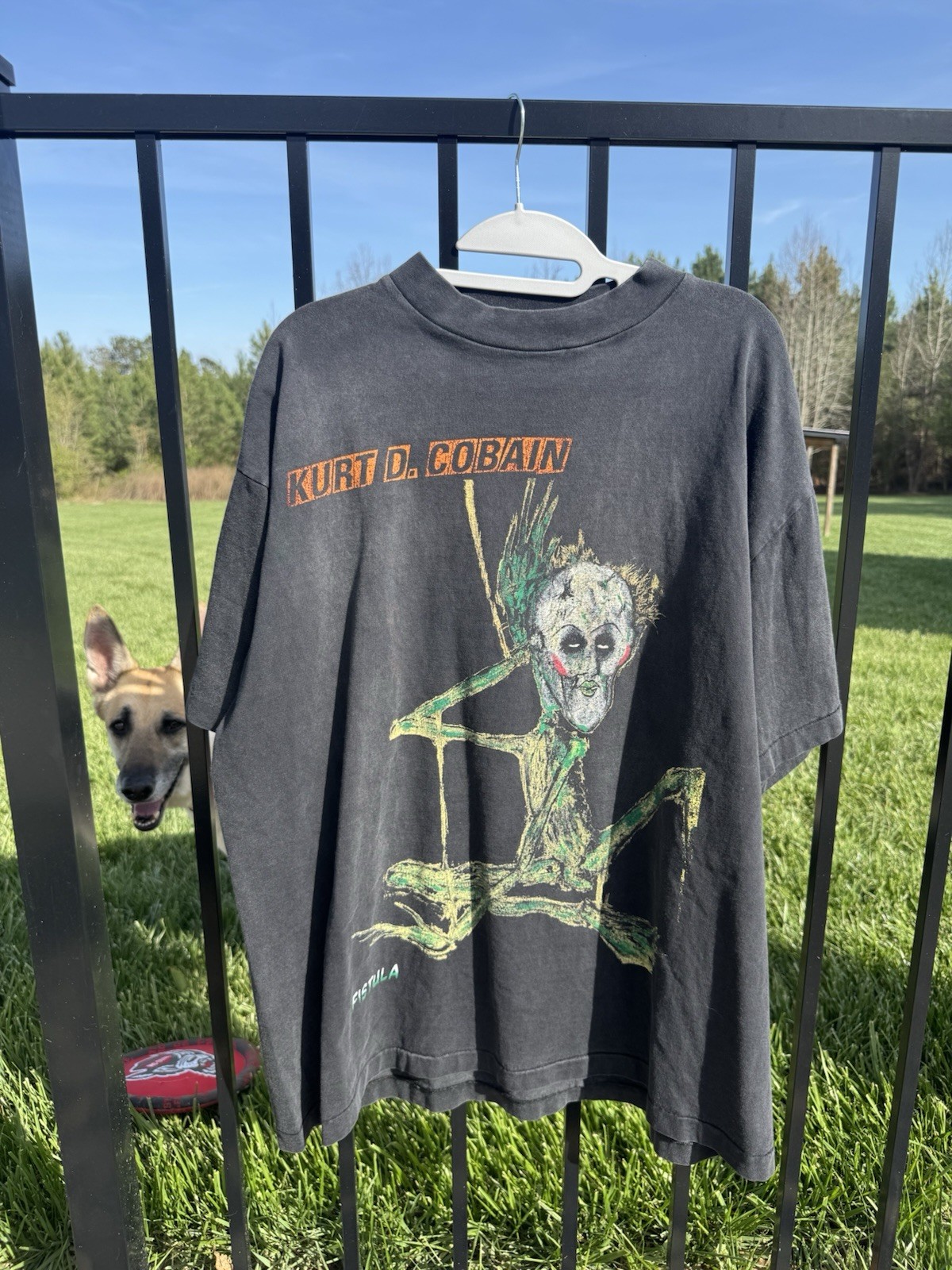 Ginsengstrip Kurt Cobain Nirvana Grunge 90s Grail Band Tshirt Rare gallery
