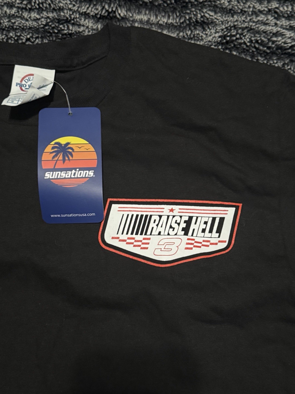 Delta Pro Weight Raise Hell Praise Dale NASCAR Dale Black T-Shirt, Size S gallery