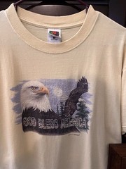 Vintage God Bless America Bald Eagle T Shirt Large Fruit Of Loom USA Patriotic