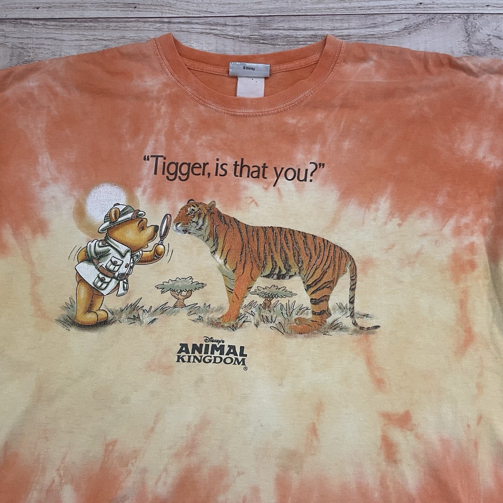 Vintage 90s Disney Animal Kingdom Tigger Is That You? Winnie the Pooh T-Shirt XL gallery