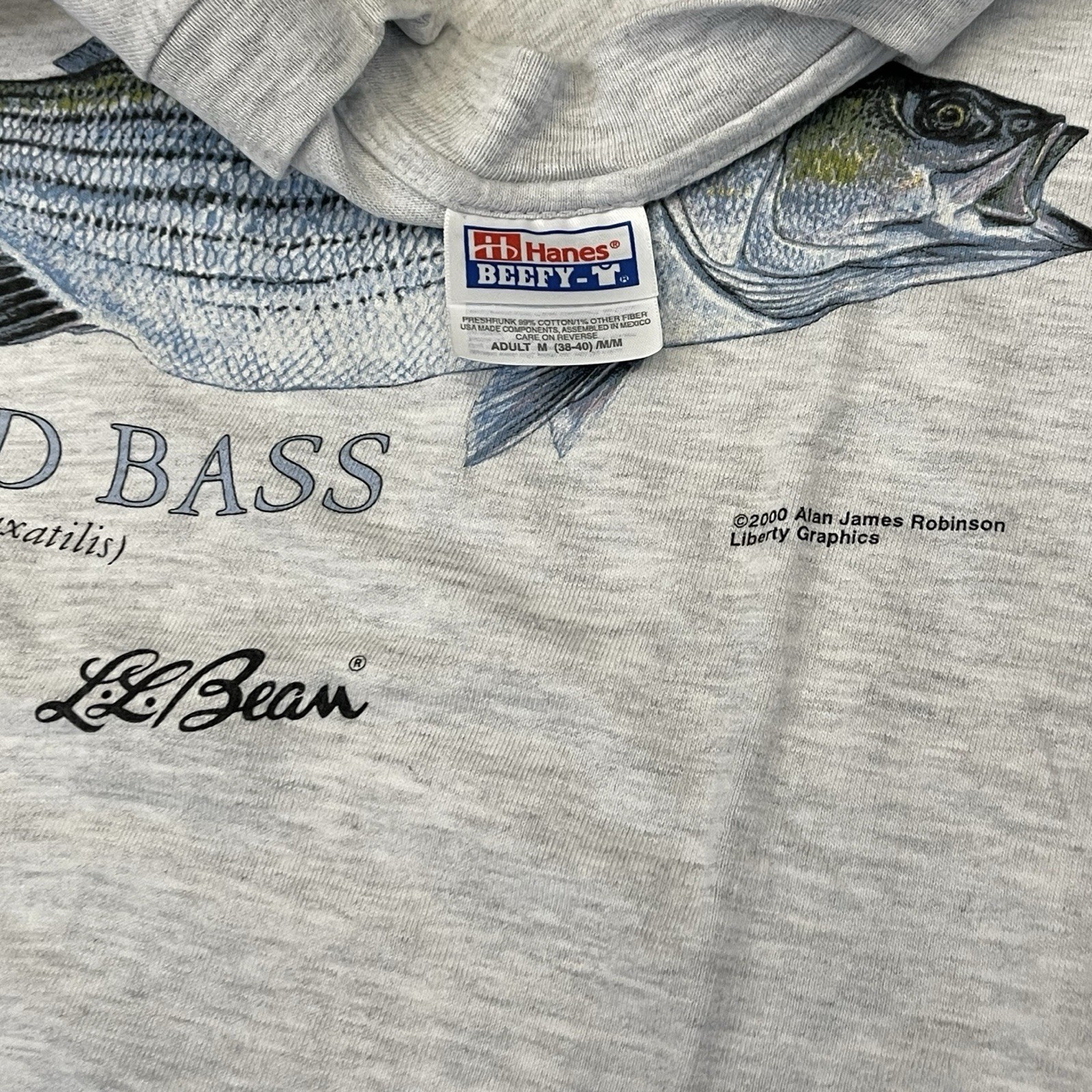 Vintage L.L. Bean Striped Bass T-shirt Fishing Outdoors Sz Medium 2000 gallery