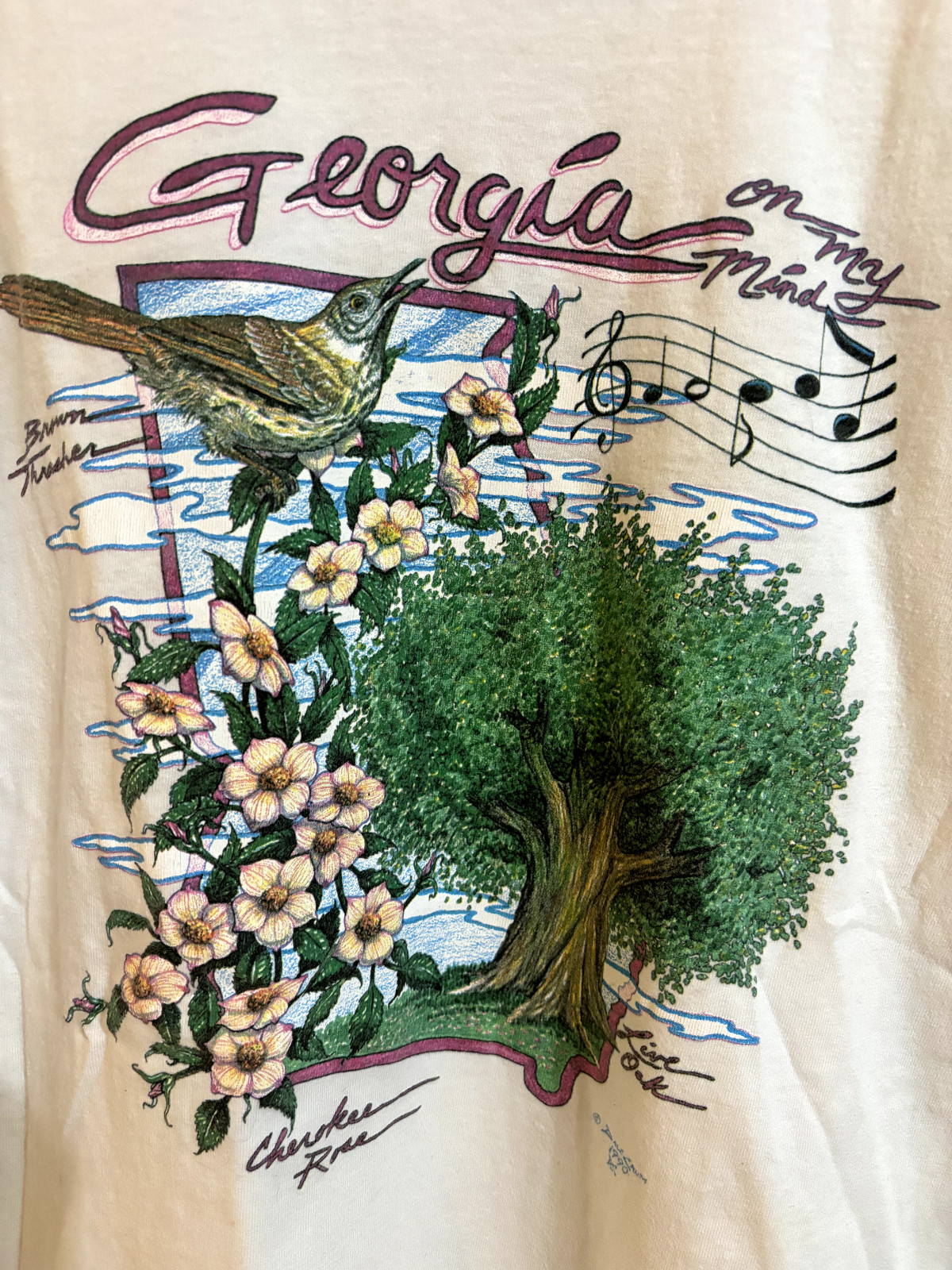 Vintage 1990 Georgia on My Mind Large Single Stitch T-Shirt USA gallery