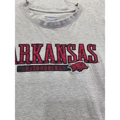 Champion Arkansas Razorbacks T-Shirt Mens Large Gray Embroidered NCAA Collegiate