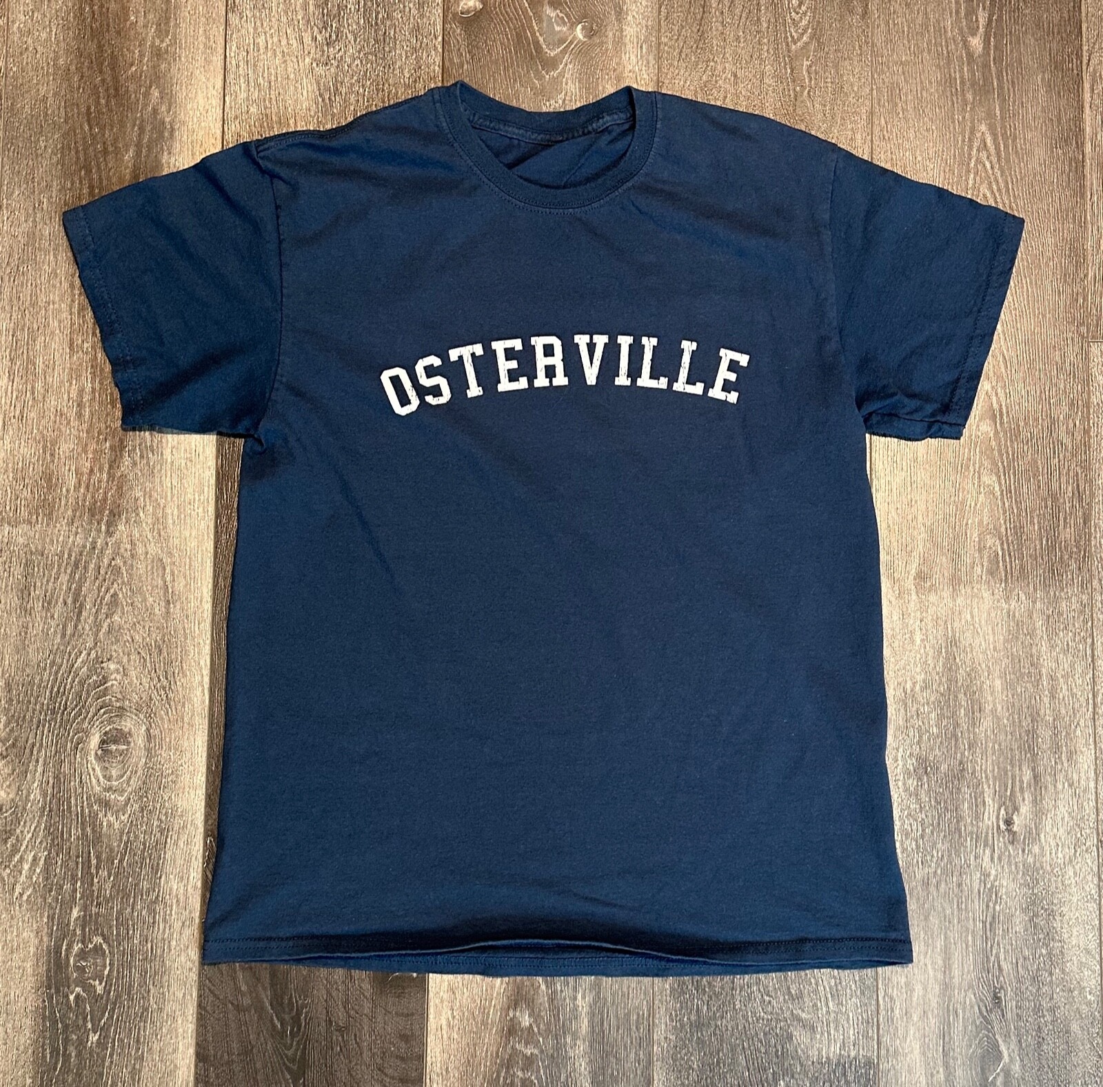 Cape Cod Insta Osterville T-Shirt Vintage Look M Blue Barnstable MA Tee gallery