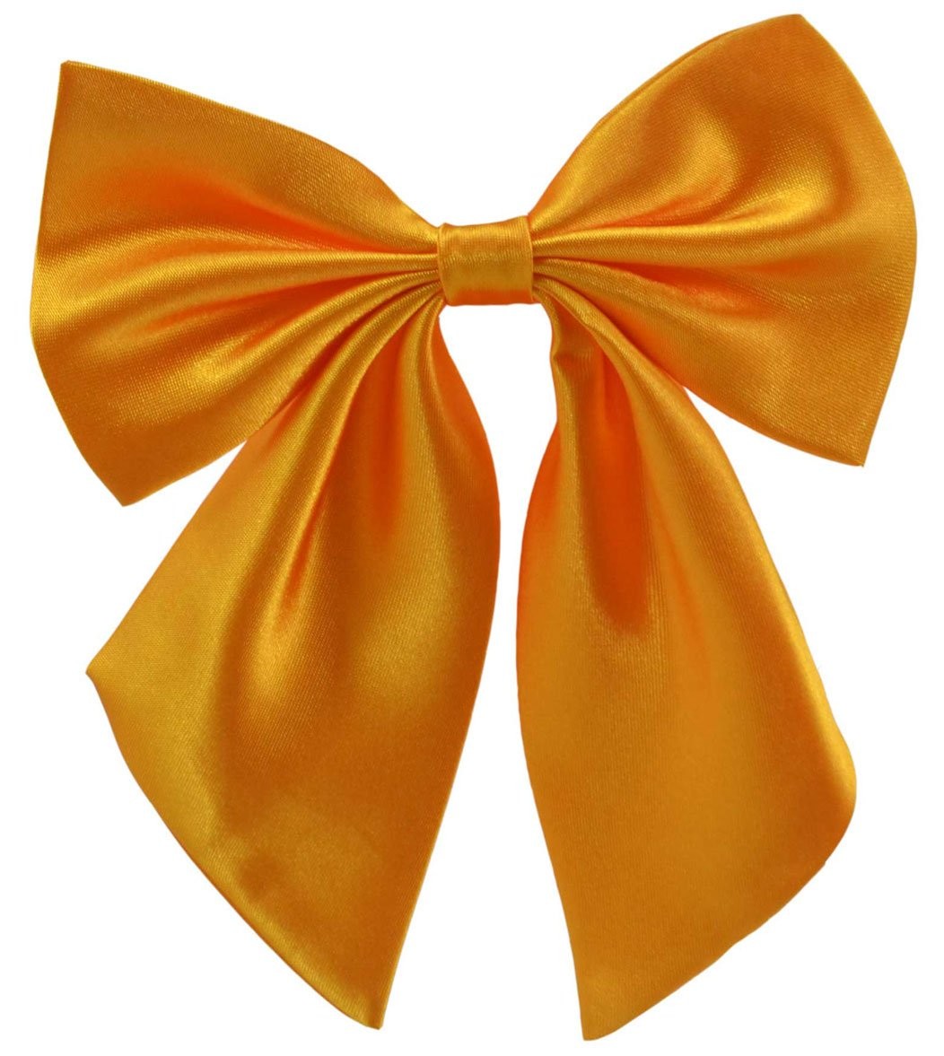 Women Pre-Tied Bow Tie for Waitress Uniform, Costume & Choir, Adjustable Neck Bo gallery
