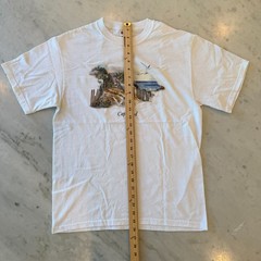 Vintage Hanes Cape Cod White Souvenir T Shirt Beach Dunes Seagulls Tee