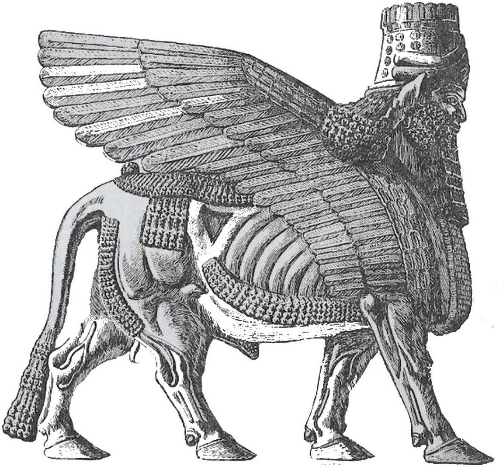 Assyrian Winged Bull T-shirt Sumaria, Gray,Khaki,White,Yellow.Size S-XXXL. gallery