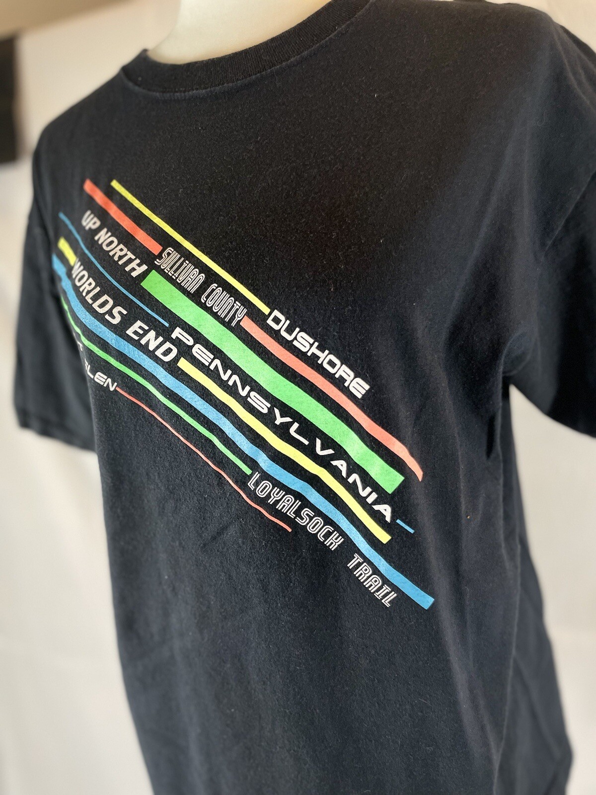 Y2K PENNSYLVANIA Black T Shirt Top Up North Worlds End Size M neon PA FOX RETRO gallery
