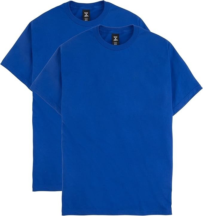 Hanes Men’s Tall 2-Pack Beefy T-Shirt Tee Cotton Crewneck Short-Sleeve 3X Tall