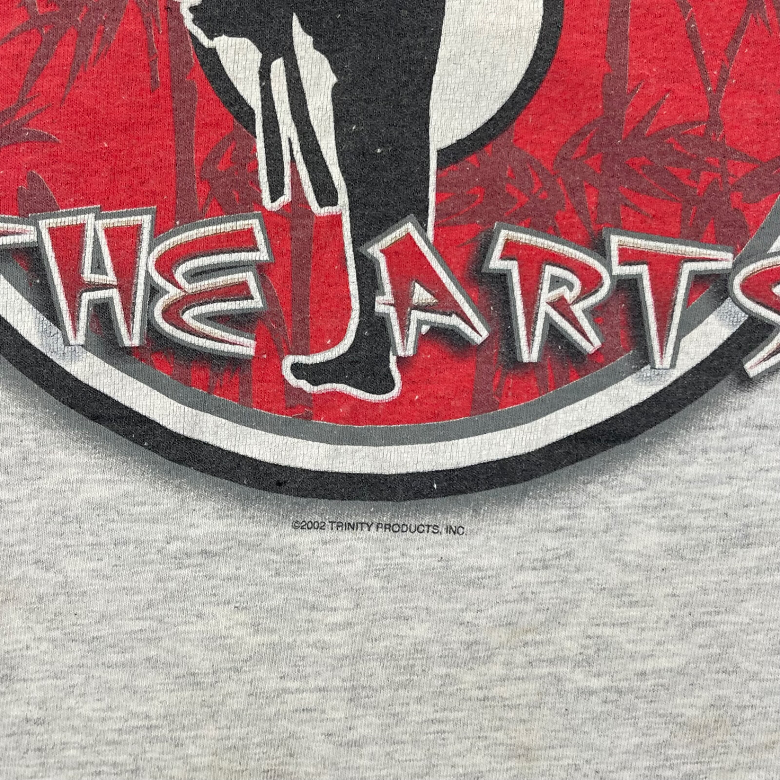 Vintage Kung Fu Karate Martial Arts T-Shirt Adult M Rising Sun Short Sleeve Y2K gallery