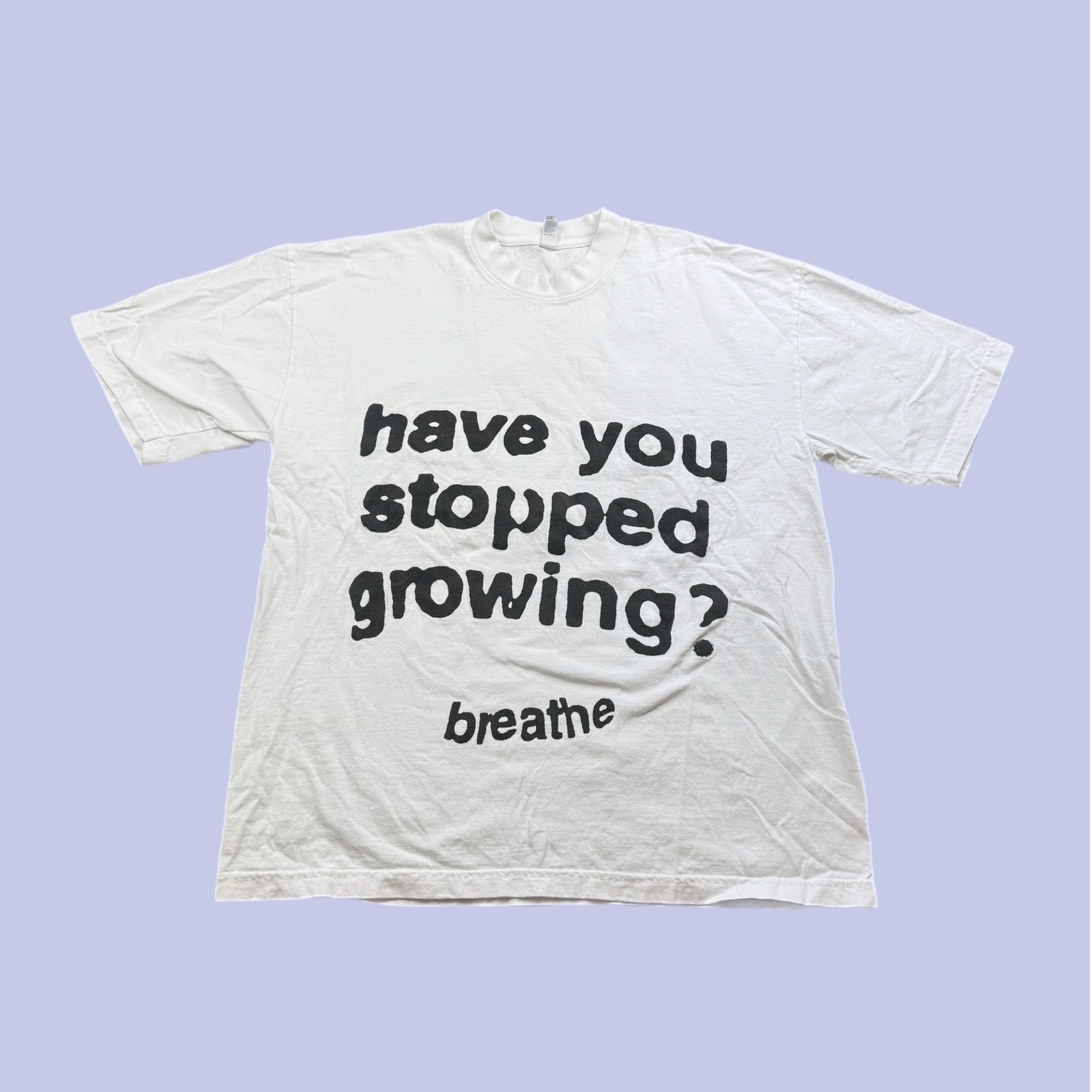 Los Angeles Apparel Have You Stopped Growing Breathe Graphic T-Shirt White L