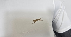 Slazenger Padel – Tim Tee II – COOLMAX AIR Short Sleeve T-Shirt – White