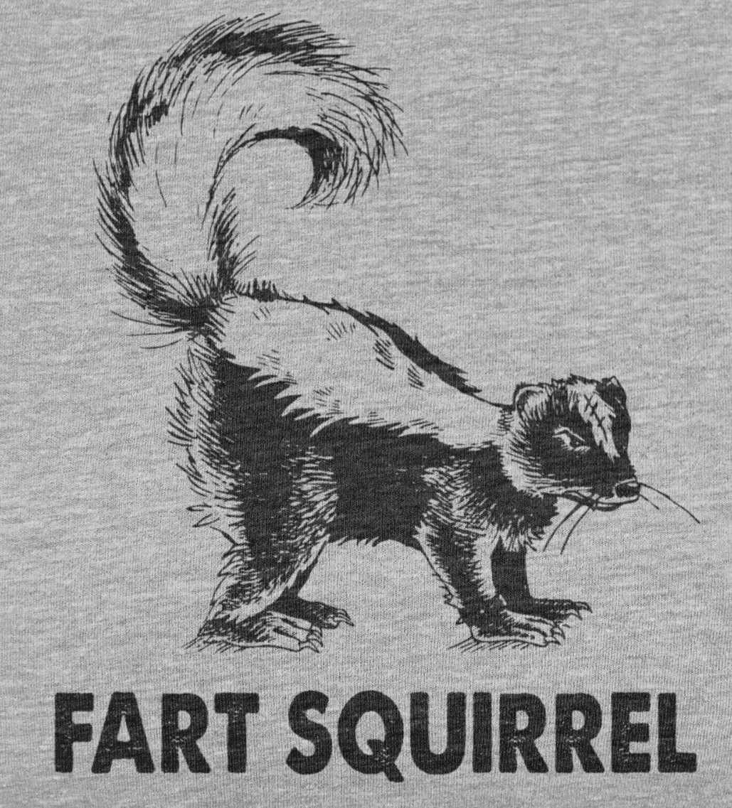 Fart Squirrel Meme Funny Skunk T shirt Sarcastic Fart Humor Camping Shirt gallery