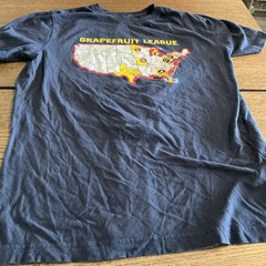 MLB Florida Spring Training Grapefruit League New Era T-Shirt – Size Small-READ