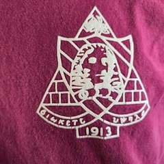 Phi Sigma Sigma T Shirt Womens Medium Red Spirit Jersey Oversized Sorority L/S