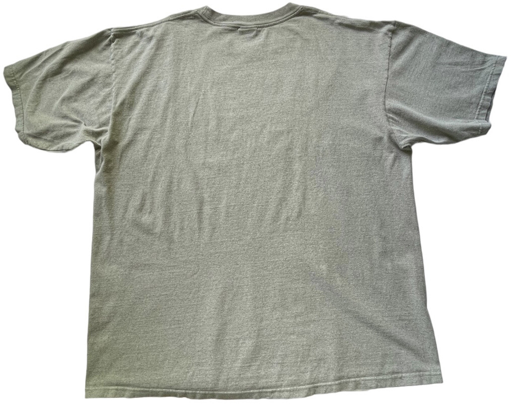 Eco Mountain Shirt Mens 2X-Large Grand Canyon Sage Grey Graphic Casual gallery