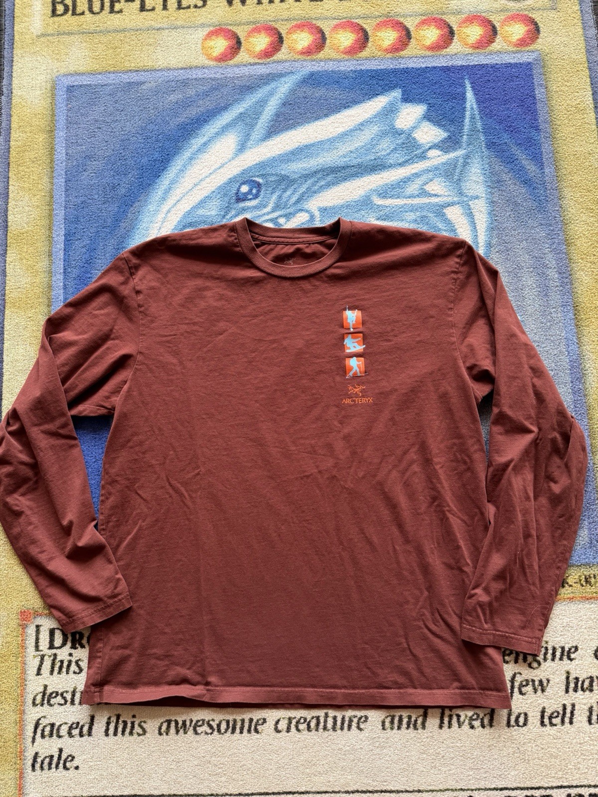 Arc’teryx Arc’Multi Bird Snowboard Ski Climb Longsleeve T-Shirt Mens XL Gorpcore
