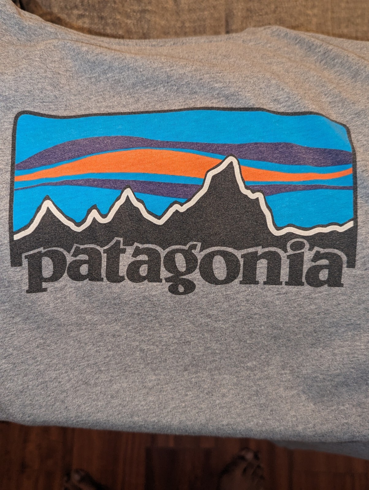 Patagonia Shirt Gray Long Sleeve Hiking Casual Outdoors Spell Out sz Small gallery