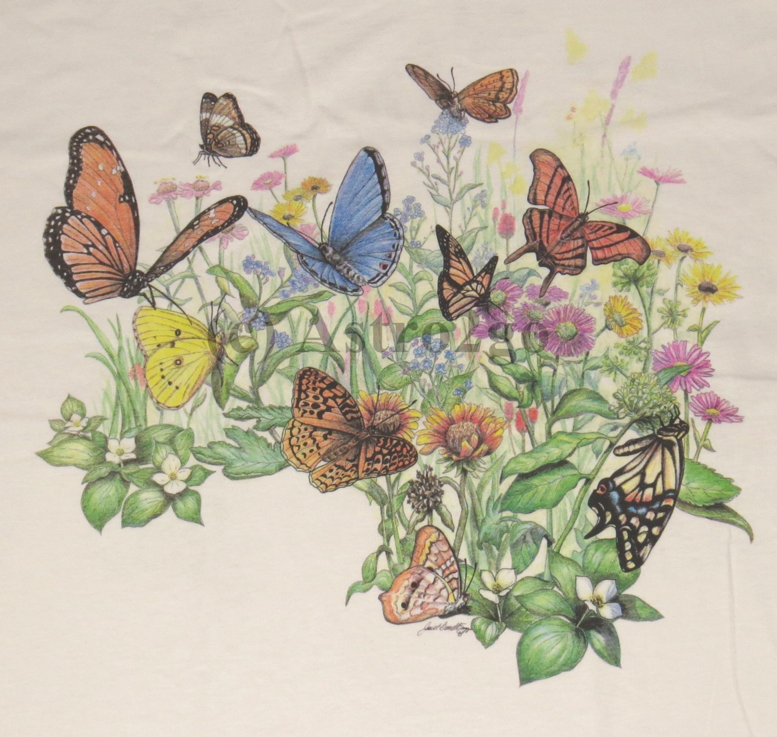 BUTTERFLY GARDEN-Butterflies Flowers Plants Insects Nature Science T shirt S-XXL gallery