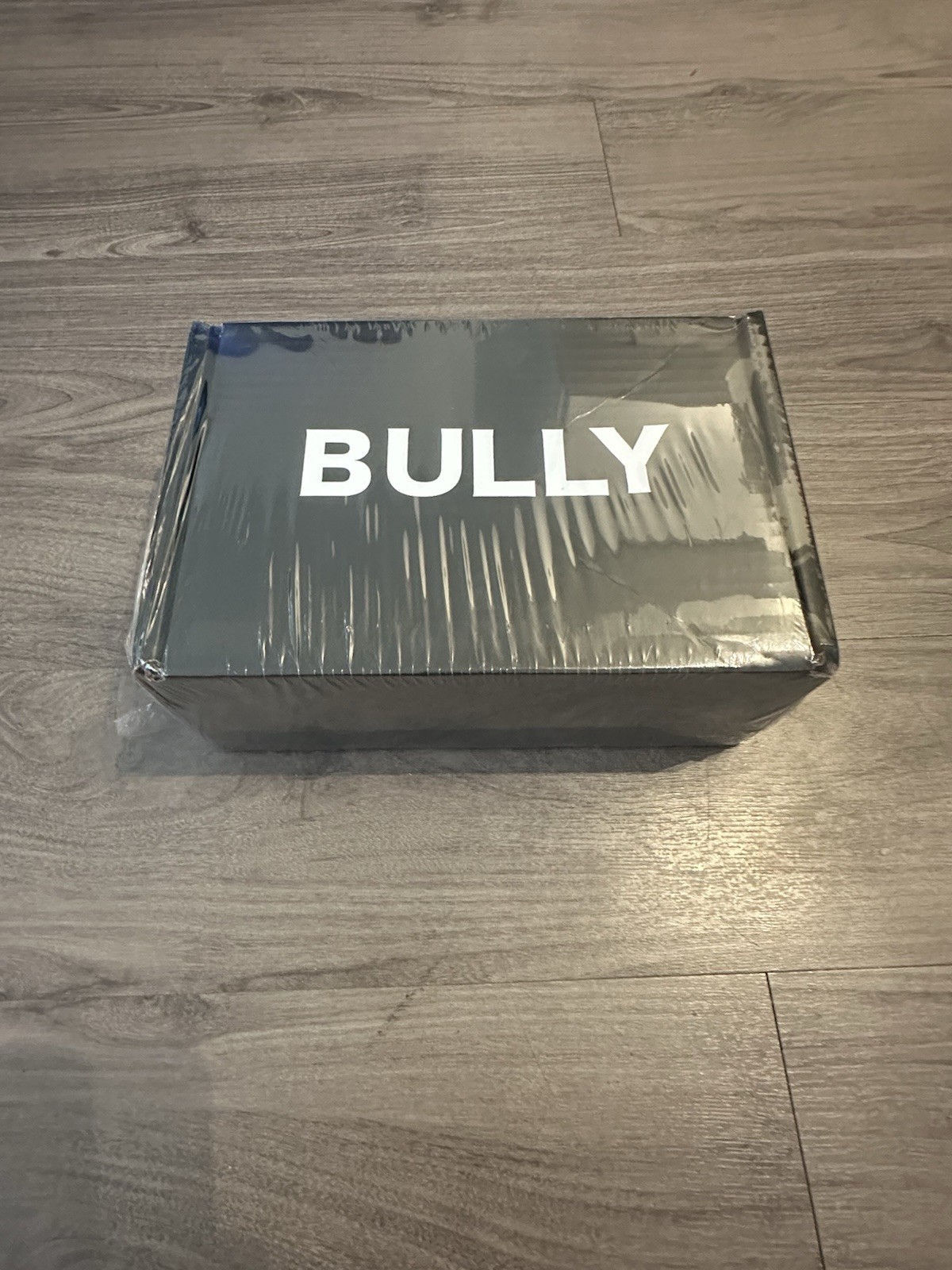 Kanye West Bully TS-07 Box Size 2(M) Brand New Sealed With CD SoFi Night 2 Merch gallery