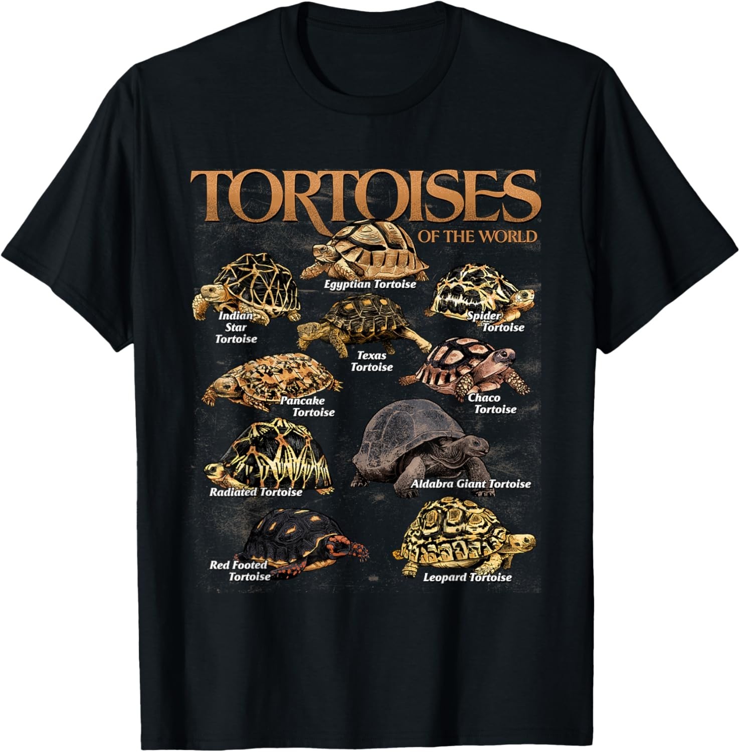Tortoises Animals of The World Educational Sea Turtle Lover Gift Unisex T-Shirt gallery