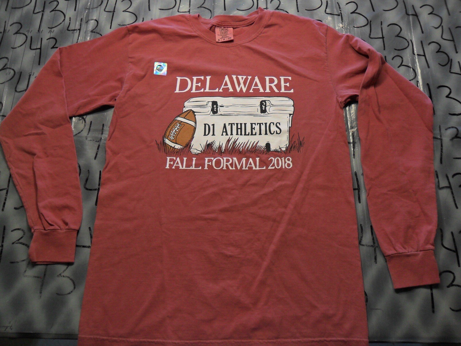 Small NWOT Delaware fall formal 2018 D1 athletics comfort colors Shirt