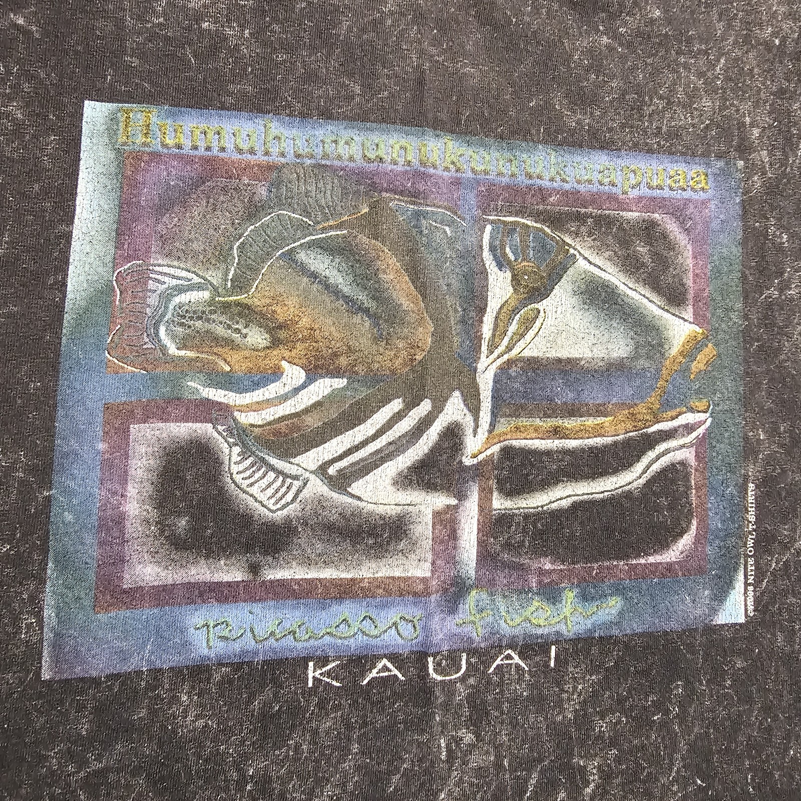 Vintage 1998 Picasso Fish Kauai T-shirt Mens XL Hawaii Grunge Fishing 90s Travel gallery