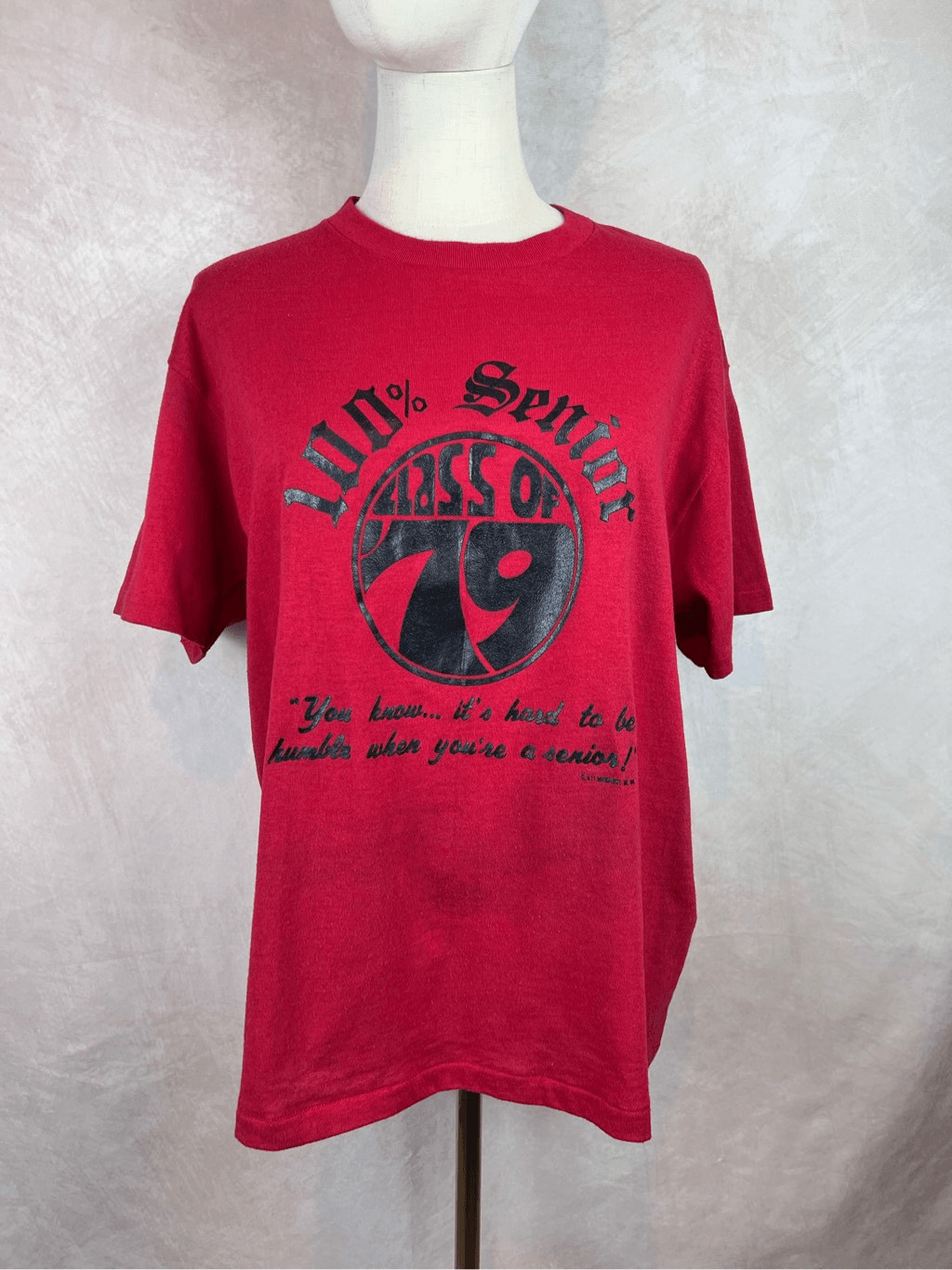 Vintage 1970s Graphic T Shirt Class of 1979 T Shirt