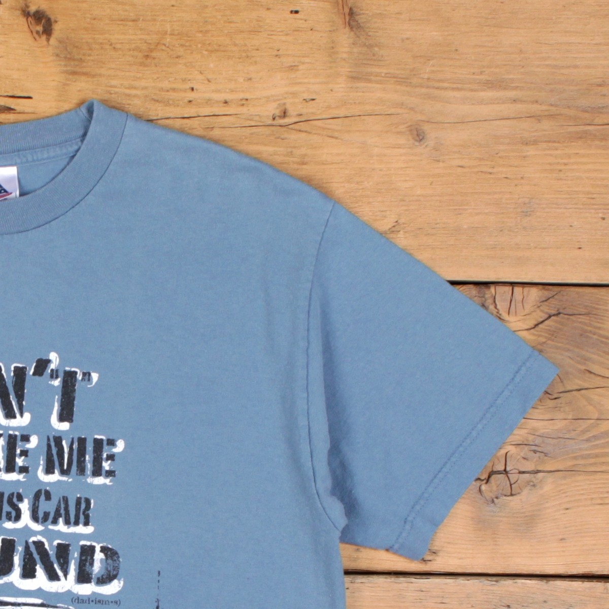 Alstyle Apparel T-shirt L Mens 00s Blue Slogan Funny Humorous Quote gallery