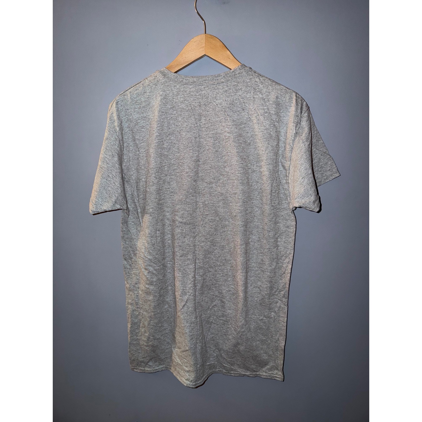 Hanes ComfortSoft I Ghost People All Year Round Graphic Tee Heather Gray Mens M gallery