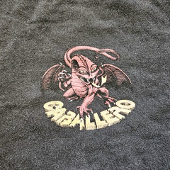 Steve Caballero Powell Peralta Skateboarding Skate T-Shirt Dragon Logo Medium L