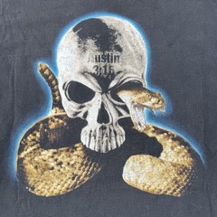 Vintage 90s WWF Stone Cold Steve Austin Rattlesnake Shirt Large Hanes Tag