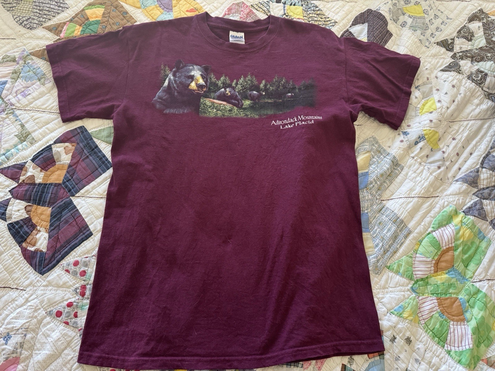 Vintage Gildan Adirondack Mountains Lake Placid Black Bears Short, Medium